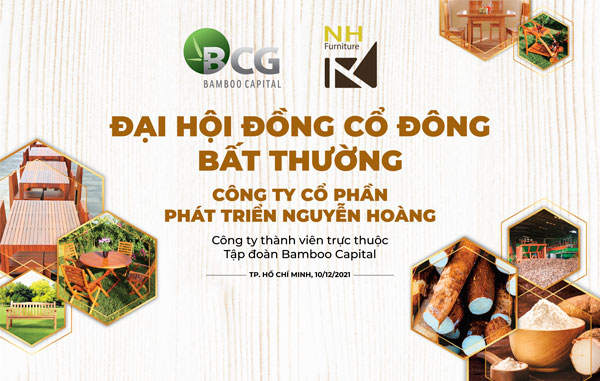 Thư mời tham dự ĐHĐCĐ bất thường Công ty Cổ phần Phát triển Nguyễn Hoàng năm 2021 và Tài liệu đính kèm